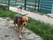 Pension_3