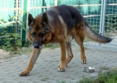 Pension_40