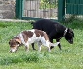 Pension_41