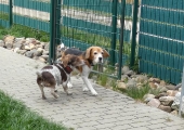 Pension_6