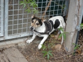 Pension_6