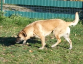 Pension_11