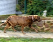 Pension_21