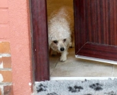 Pension_26