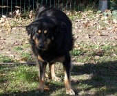 Pension_29