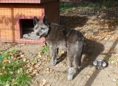 Pension_29