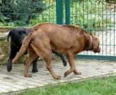 Pension_3