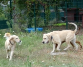 Pension_11