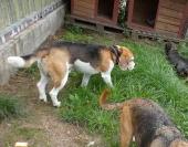 Pension_11