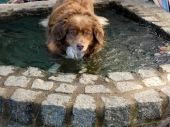 Pension_11