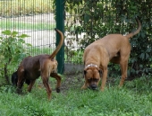 Pension_22