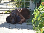Pension_2