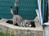 Pension_6