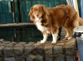 Pension_8