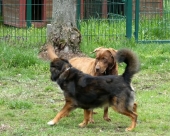 Pension_1