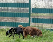 Pension_24