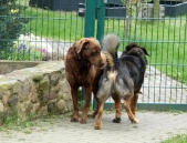Pension_2