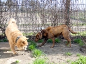 Pension_2