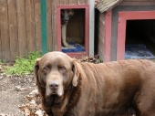 Pension_45