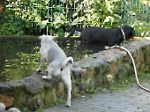 Pension_10