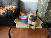 Pension_11