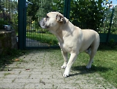 Pension_12