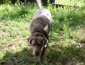 Pension_20