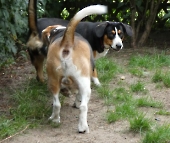 Pension_20