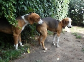 Pension_21