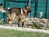 Pension_26