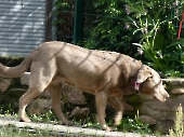 Pension_27