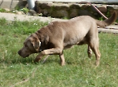 Pension_29