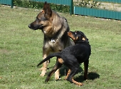 Pension_29