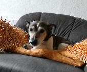 Pension_2