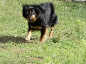 Pension_30