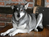Pension_36