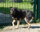 Pension_38