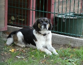 Pension_40