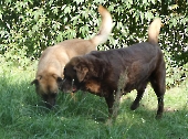 Pension_42