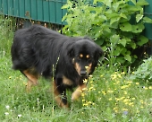 Pension_44
