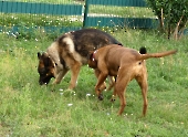 Pension_47