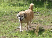 Pension_49