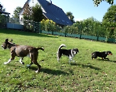 Pension_4