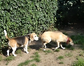 Pension_4