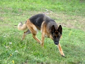 Pension_57