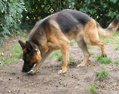Pension_62