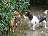 Pension_6