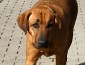 Pension_73