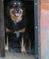 Pension_26
