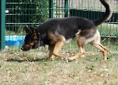 Pension_13